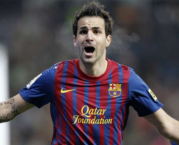 Cesc symbole