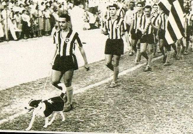 Biriba, le chien miracle du Botafogo