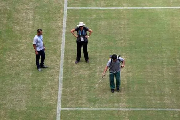 Manaus : Tant qu&rsquo;il y a gazon, il y a match