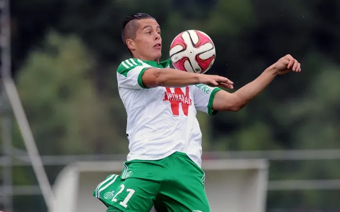 Ligue 1 : la fiche de Saint-Étienne