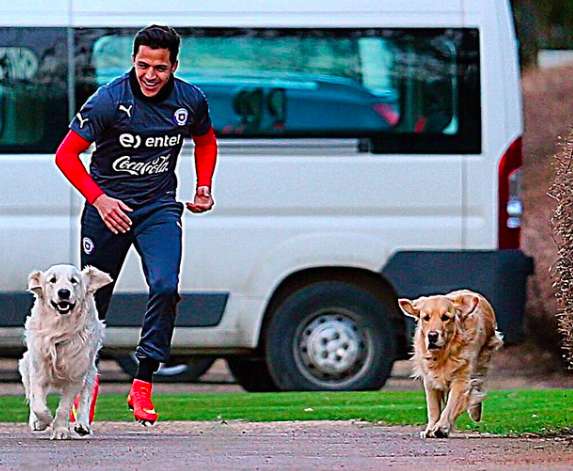 Sánchez s&rsquo;entraîne avec ses chiens