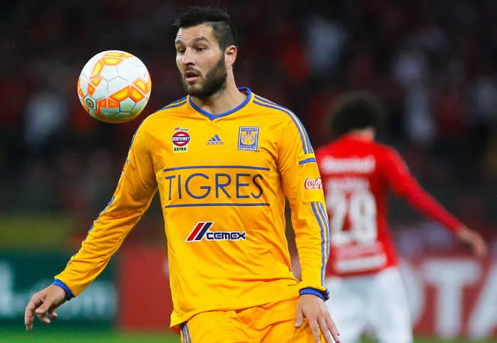 Copa Libertadores : La lutte finale pour Gignac