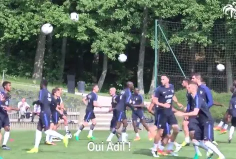 Le toro géant des Bleus