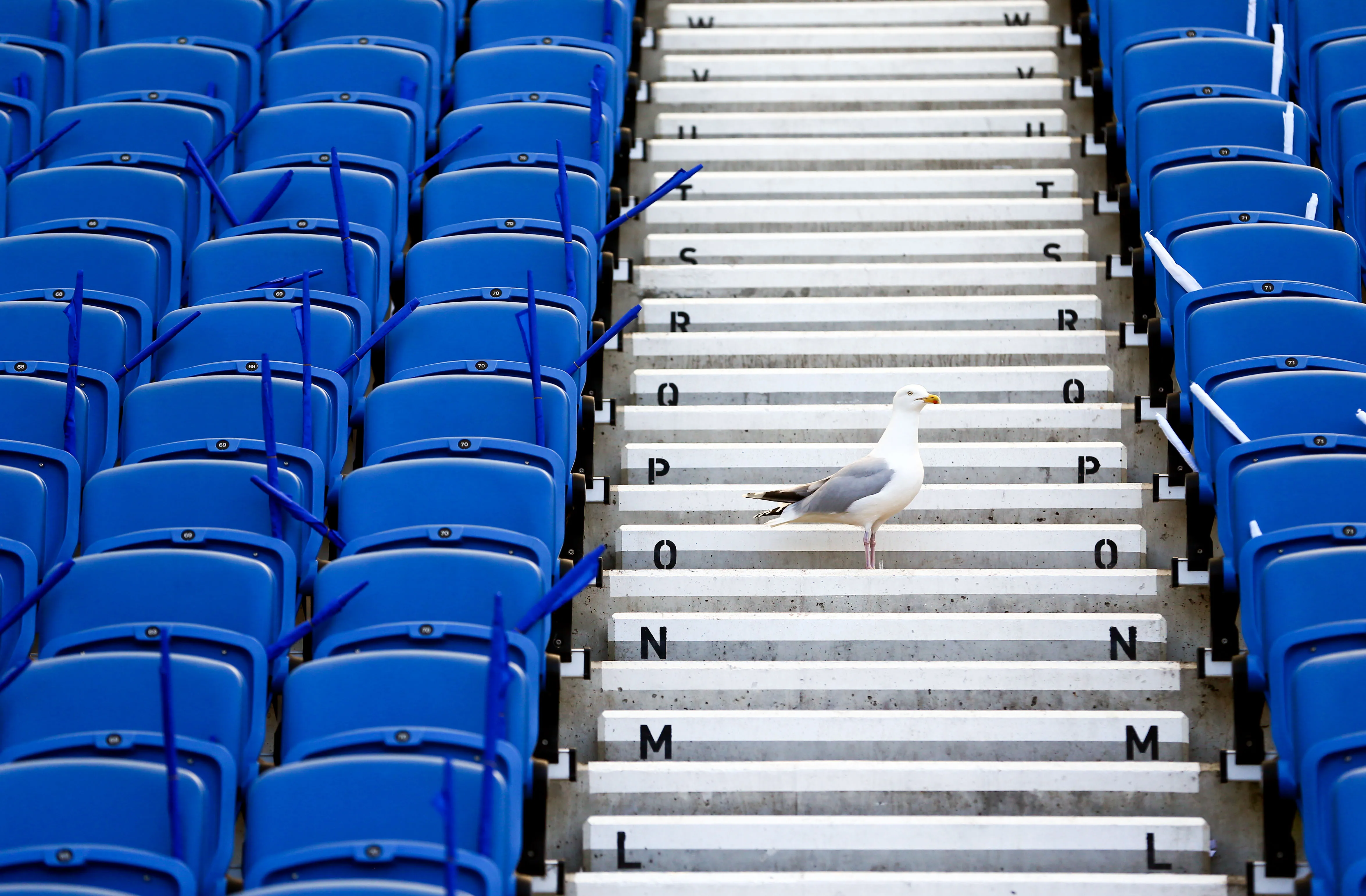 Pourquoi vous allez adorer Brighton