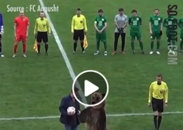 Vidéo : Un ours dressé forcé de faire le show en D3 russe (via Facebook SO FOOT)