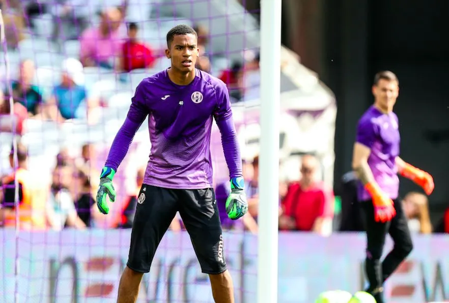 Lafont, des Violets aux Viola