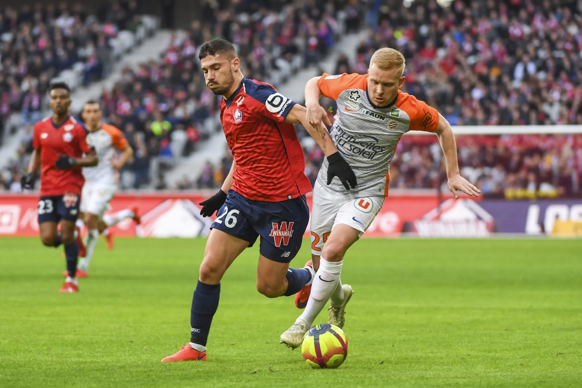 Montpellier fait le dos rond à Lille