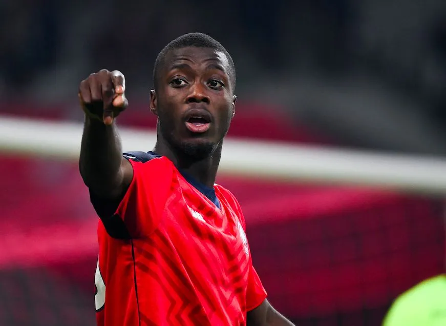 Lille dauphin, c&rsquo;est bon pour la Ligue 1 ?