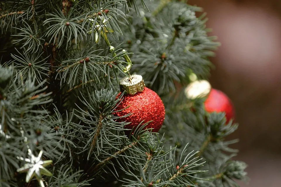 Les années Sapins de Daniel Cousin