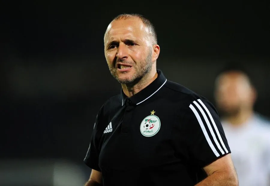 Djamel Belmadi, larme des Fennecs