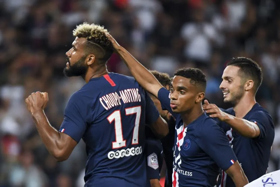 Choupo-Moting, l&rsquo;arbre qui cache une forêt défrichée